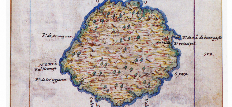 Planta de la Isla de La Gomera