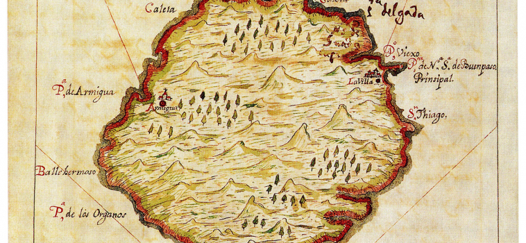 Planta de la Isla de La Gomera