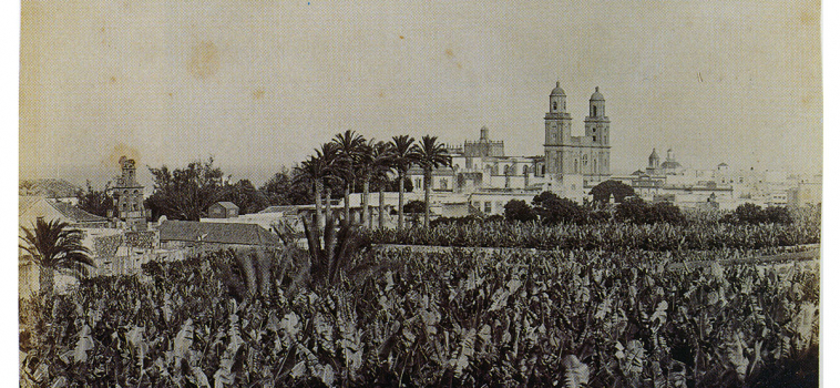 The Cathedral