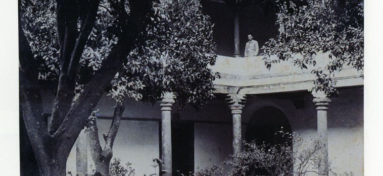 Patio, the Library